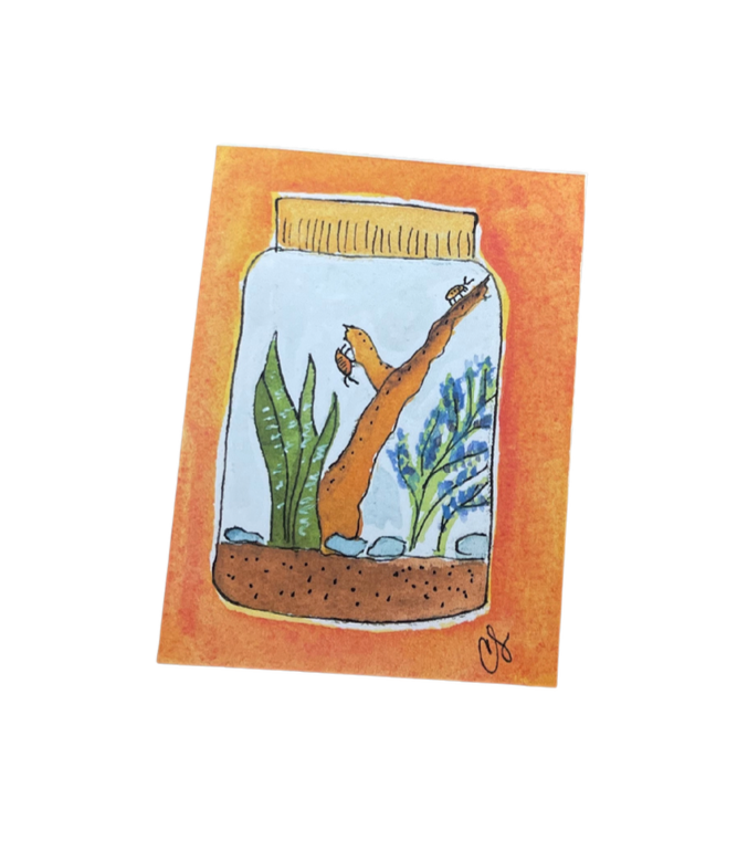 Mini Watercolor Prints by Cathy Stratton (3"x4" only)