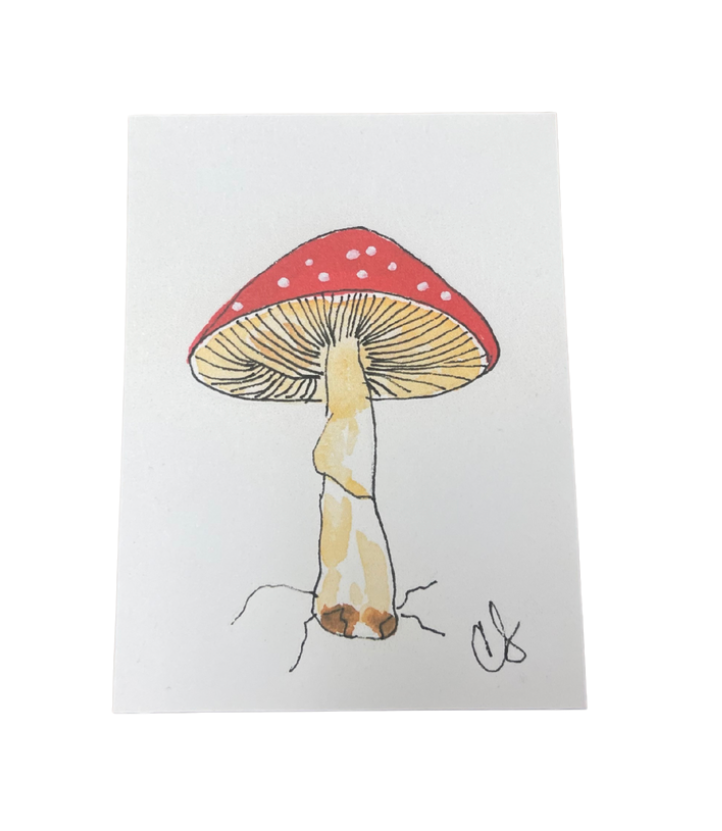 Mini Watercolor Prints by Cathy Stratton (3"x4" only)