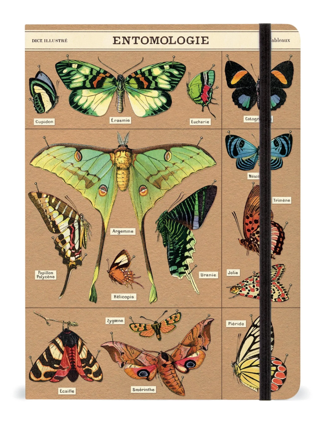 Small Journals (Cavallini Papers & Co.)