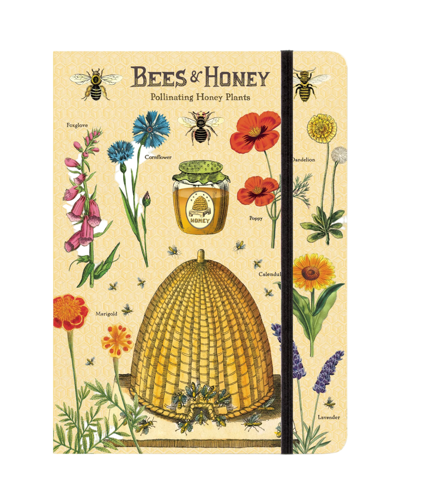 Small Journals (Cavallini Papers & Co.)