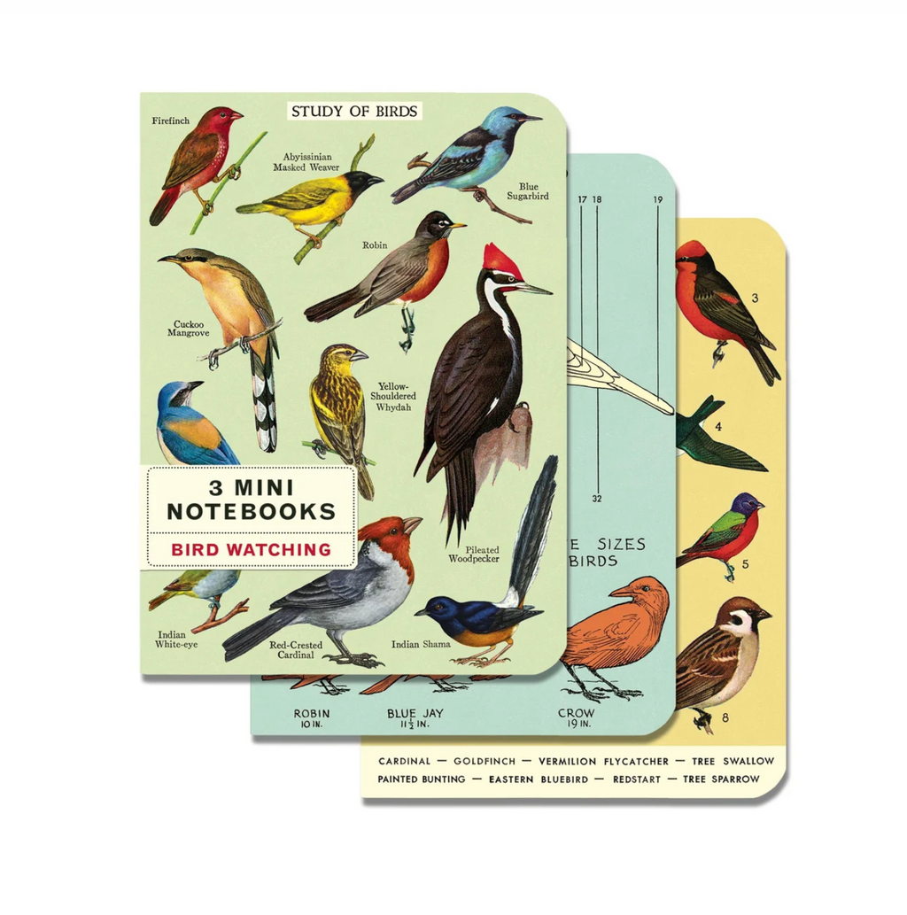 Mini Notebook Sets [3] (Cavallini Papers & Co.)