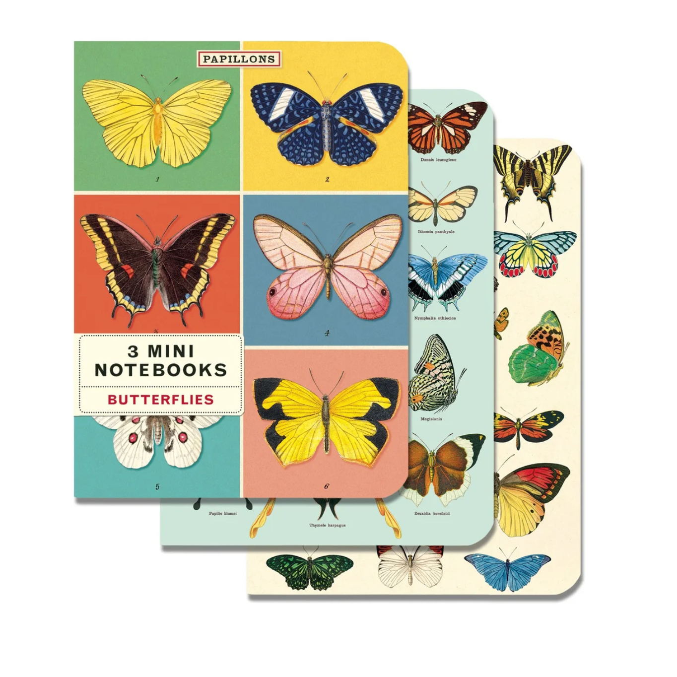 Mini Notebook Sets [3] (Cavallini Papers & Co.)