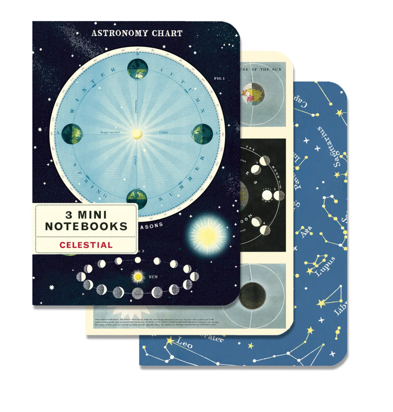 Mini Notebook Sets [3] (Cavallini Papers & Co.)