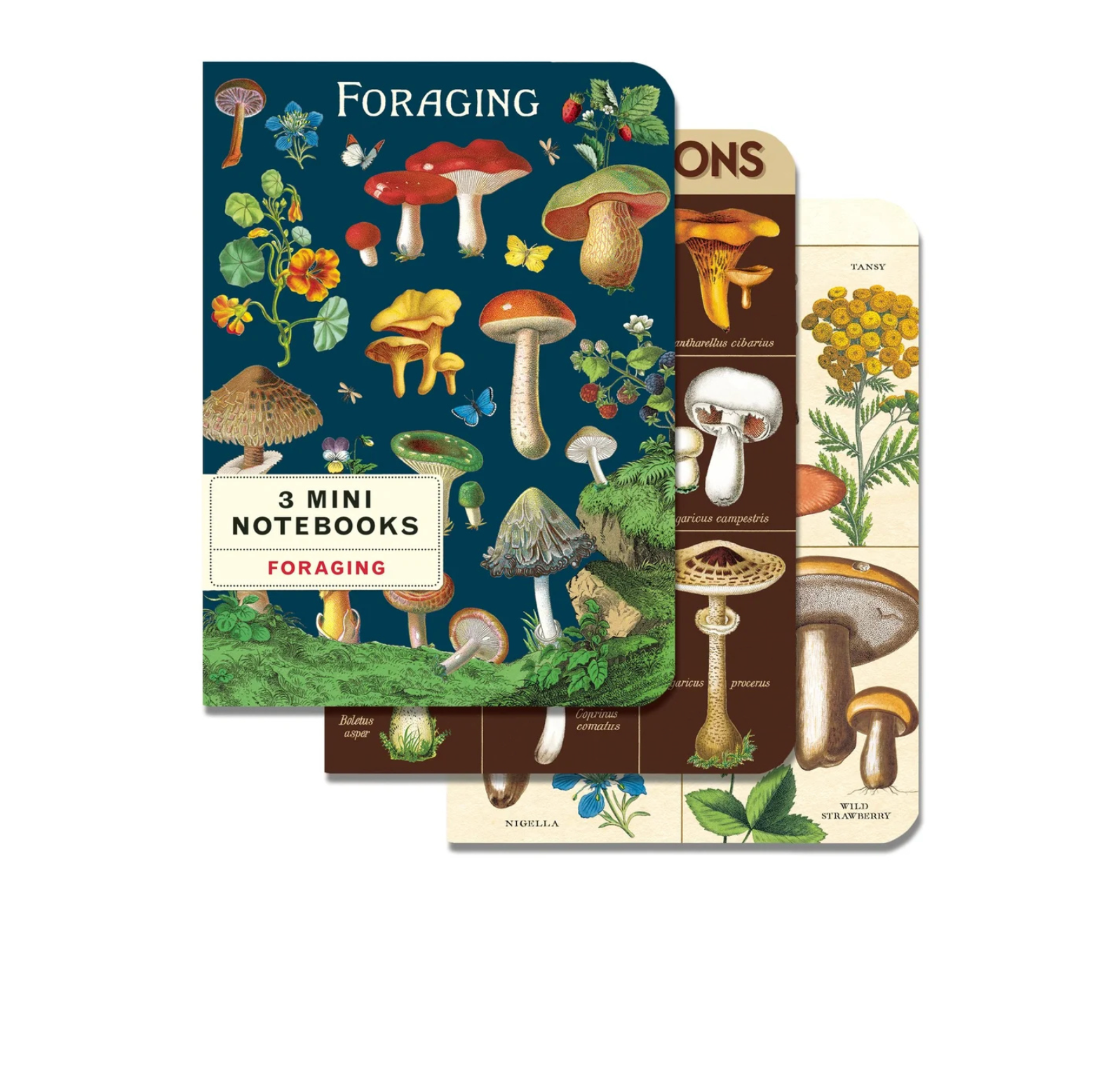 Mini Notebook Sets [3] (Cavallini Papers & Co.)