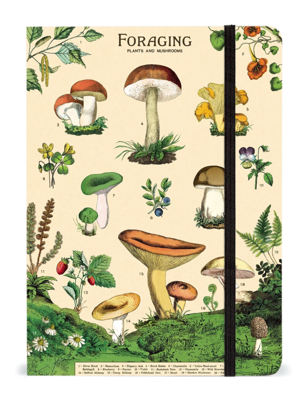 Small Journals (Cavallini Papers & Co.)