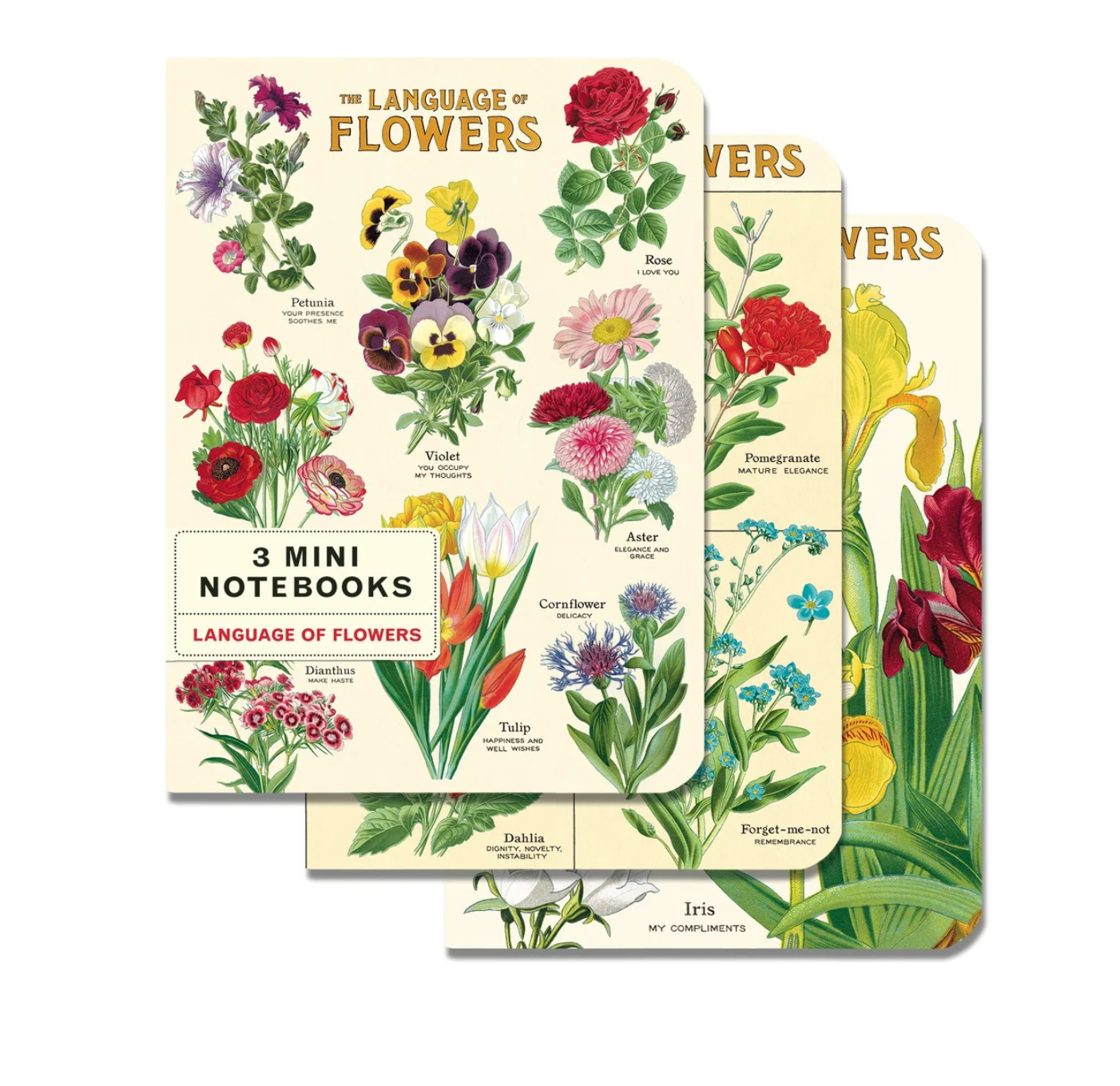 Mini Notebook Sets [3] (Cavallini Papers & Co.)