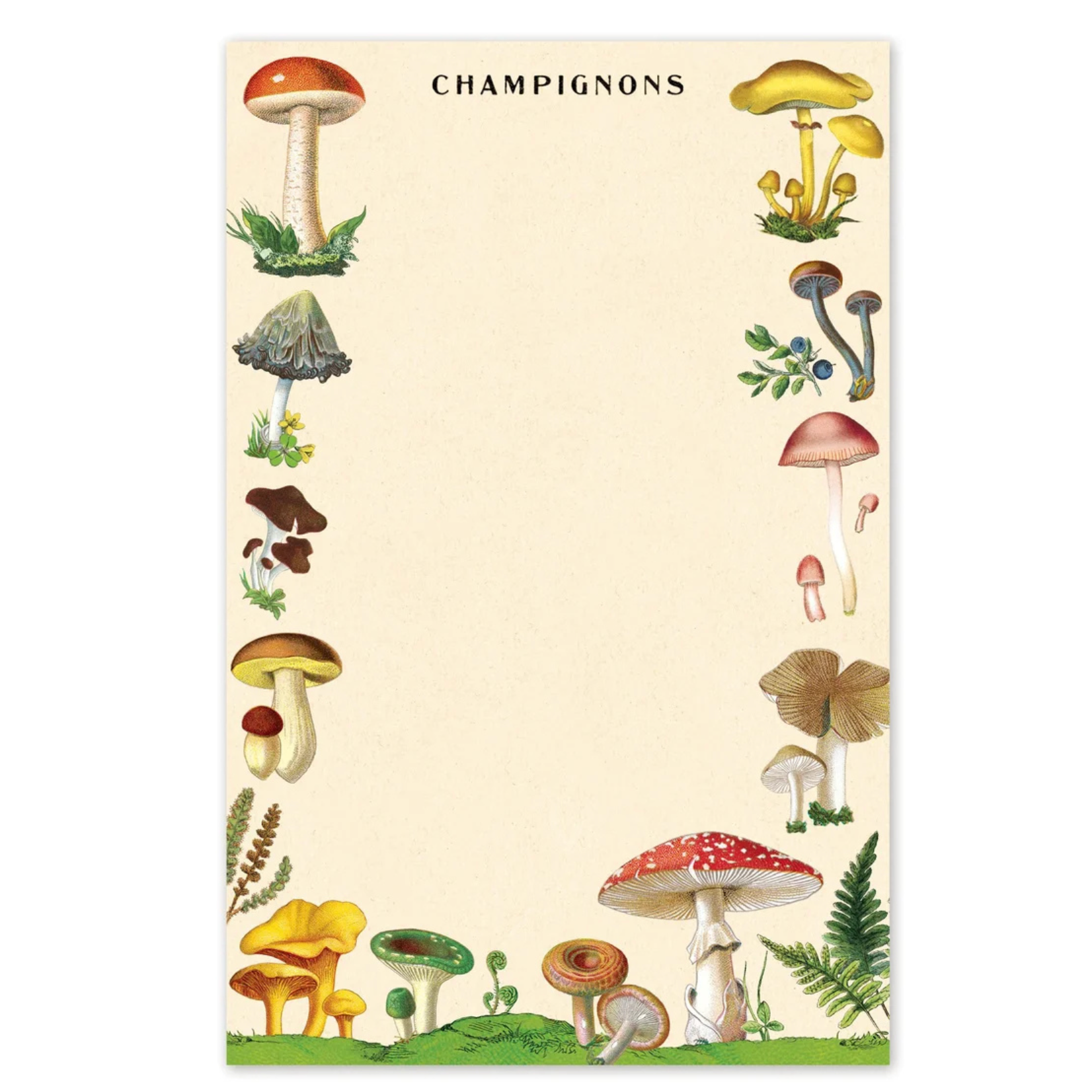 Notepads (Cavallini Papers & Co.)