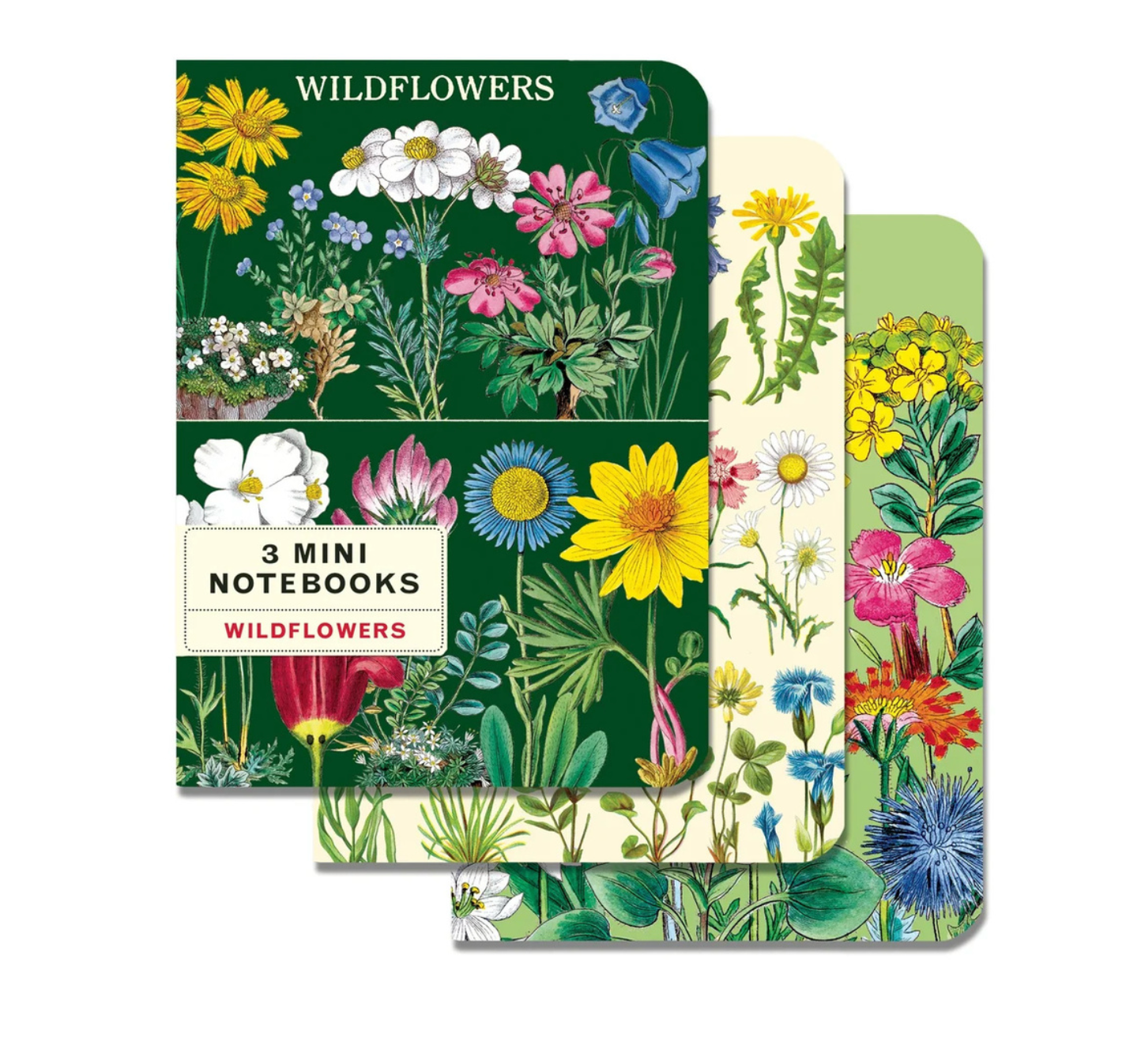 Mini Notebook Sets [3] (Cavallini Papers & Co.)