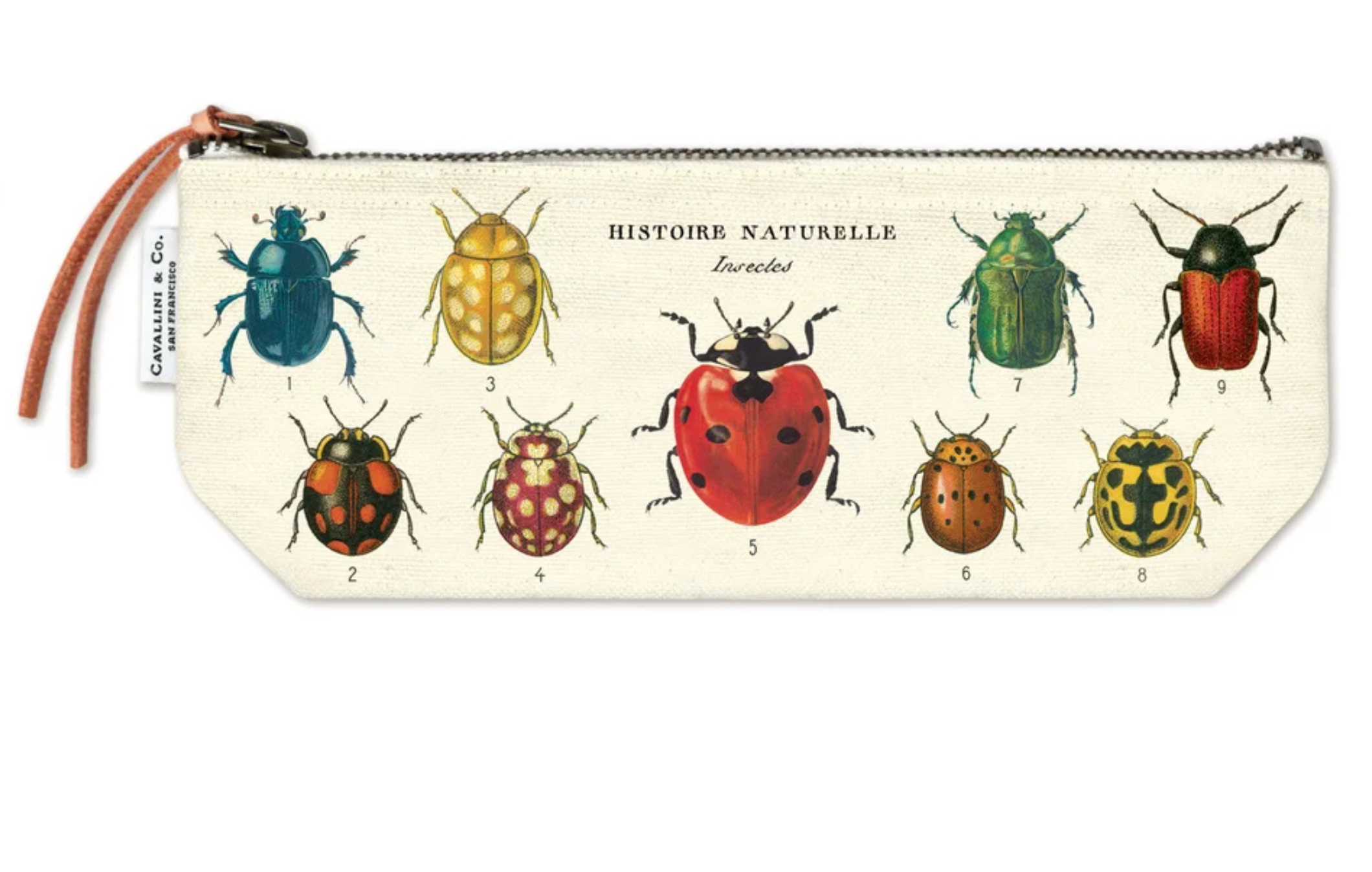 Vintage Pouches (Cavallini Papers & Co.)