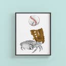 Crab and Baseball print by Central and Gus