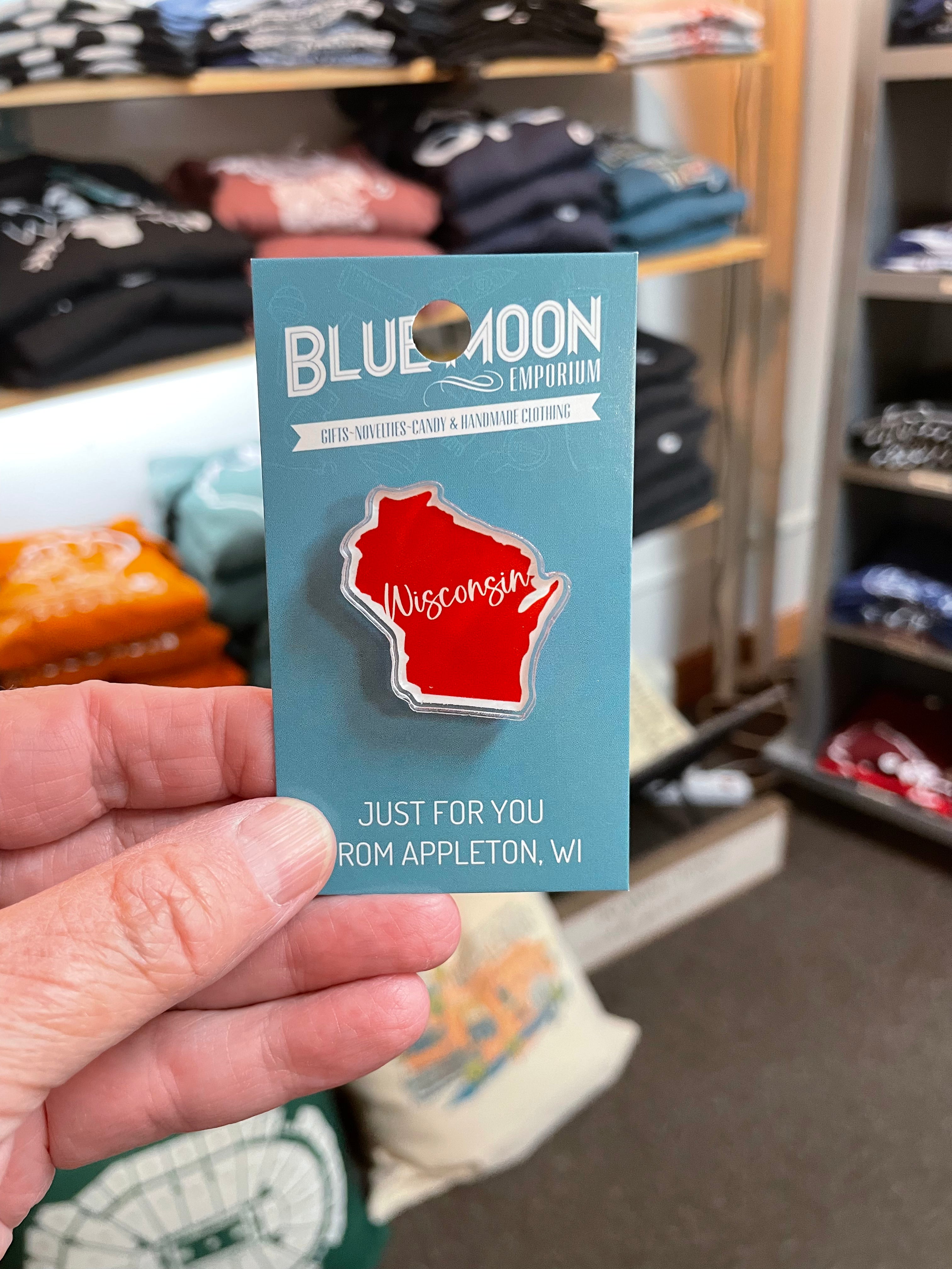 Wisconsin Pin