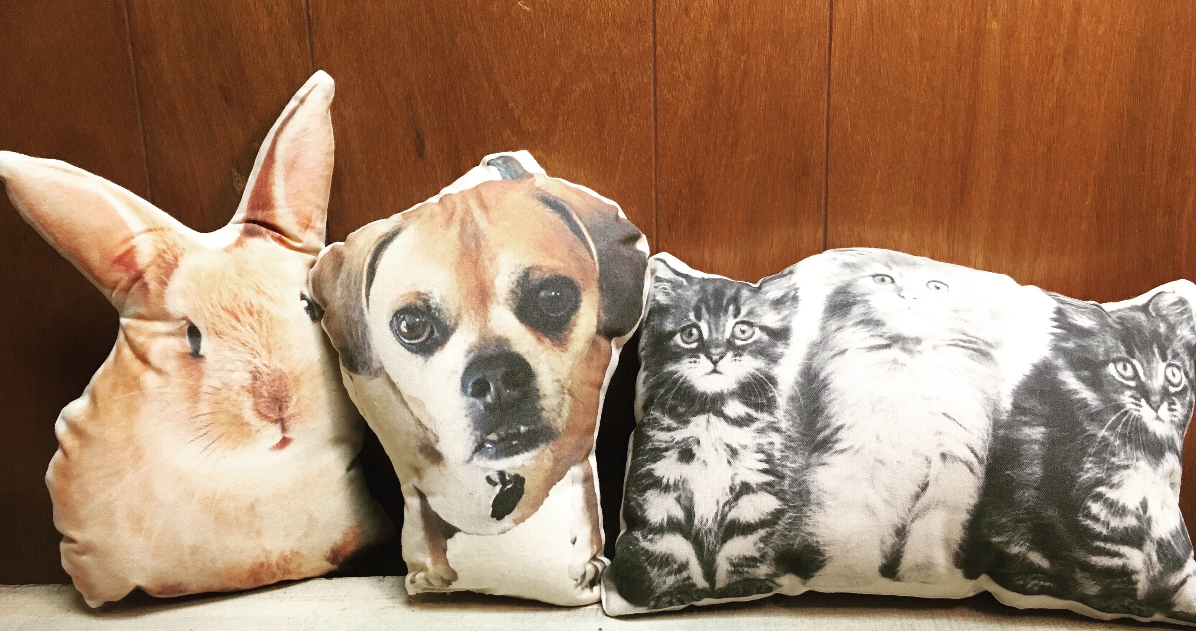 Custom Pet Pillow